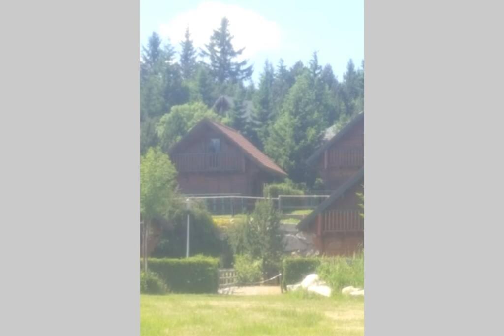 Maison De Bois Finlandaise Au Pied Des Pistes Bolquere Pyrenees 2000 Eksteriør bilde